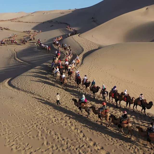 Camel caravan on the Singing Dunes at sunset