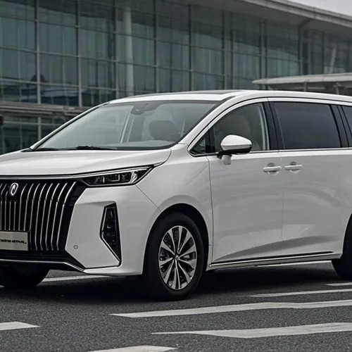 Private 7-seat MPV